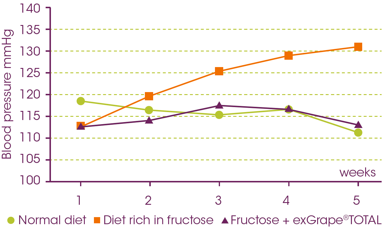 Red grape polyphenols standardized in polyphenols ExGrapeTotal by GrapSud